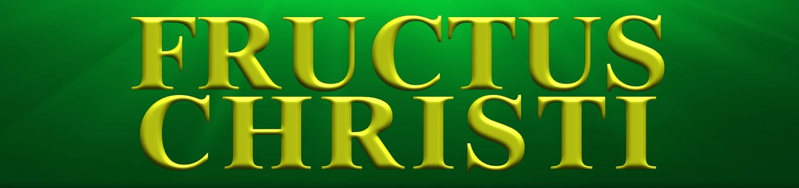 Fructus Christi Youth Ministry