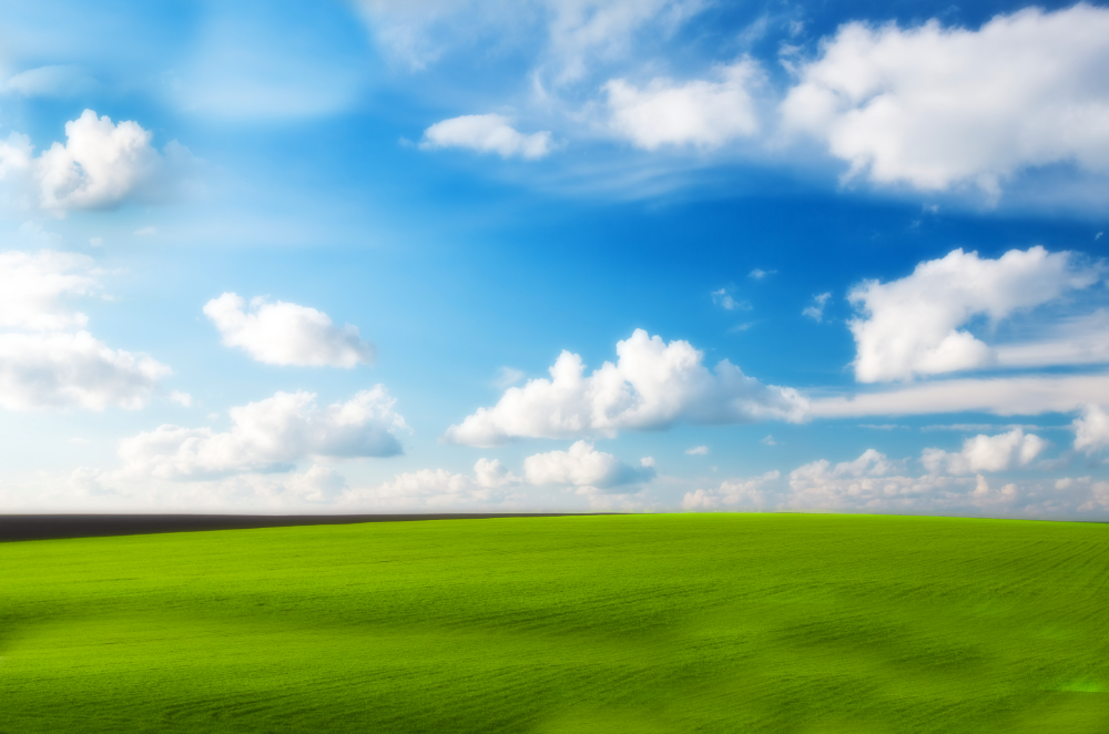 Blue sky with clouds and green field