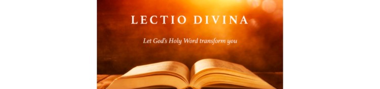 Open Bible  text Let God's Holy word transform you